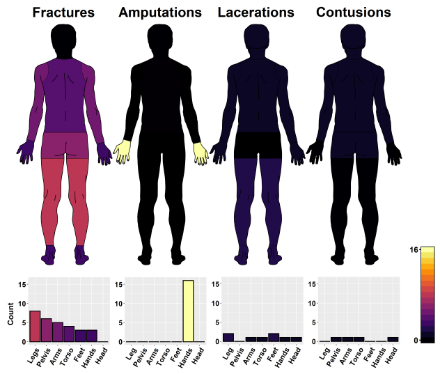 Anatomical distribution of the four injury types that accounted for 80%
of reported injuries.