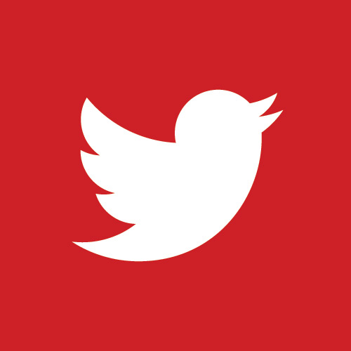 Social Media Icon | Twitter
