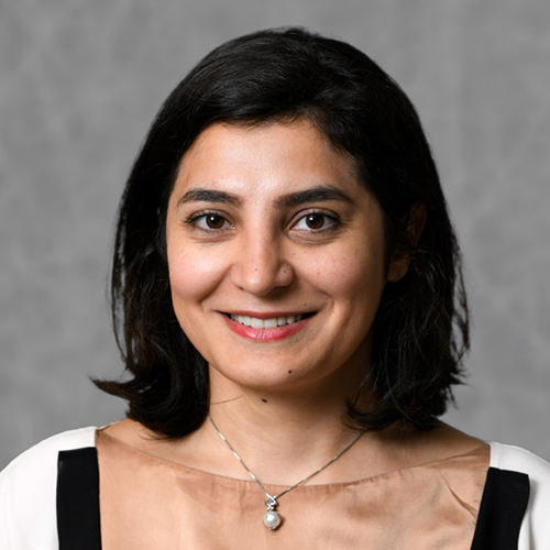 Sara Shashaani | Assistant Professor | NC State ISE